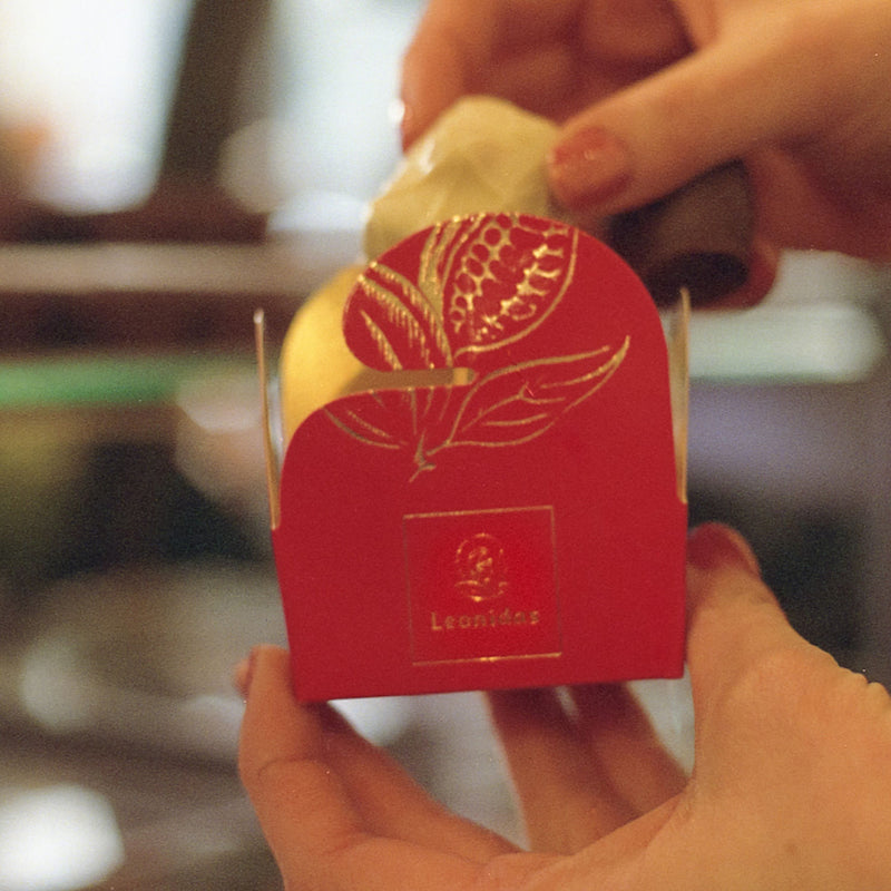 2 Chocolate "Tulip" Boxes